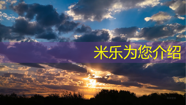 <strong>米乐为您介绍：南亚塑胶跑道跑道供货</strong>